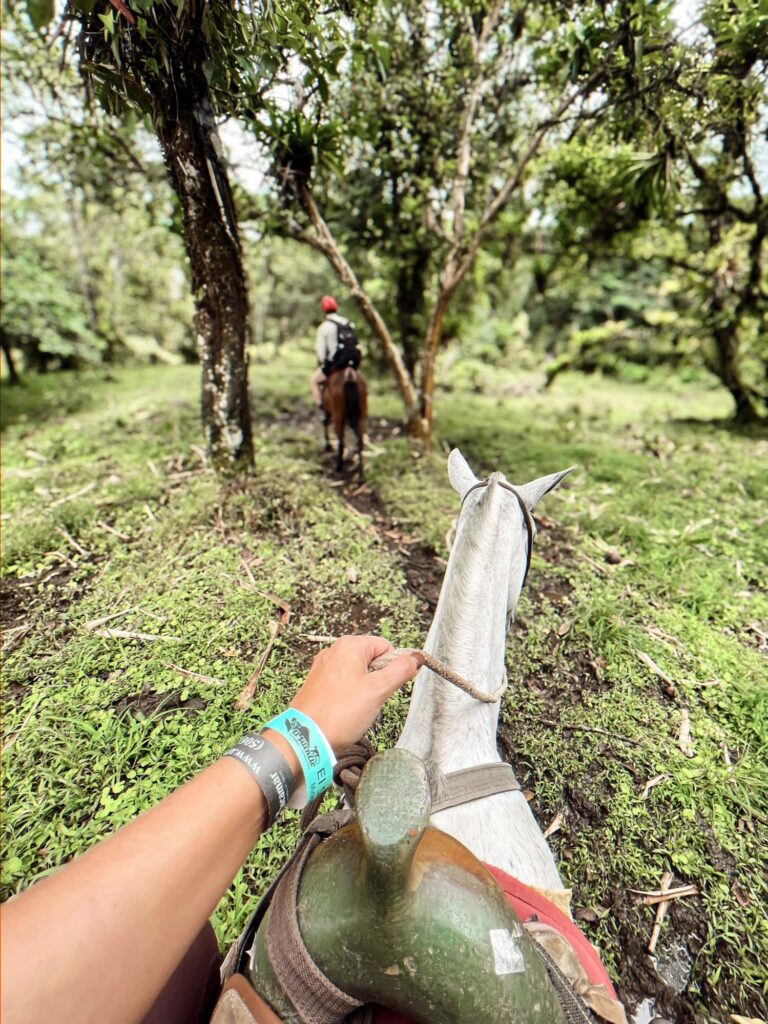 Arenal Horseback Riding experience