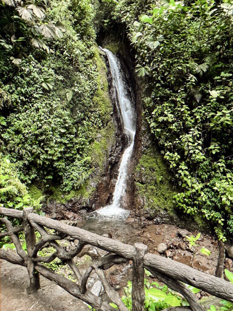 Arenal Hanging Bridges Park tour