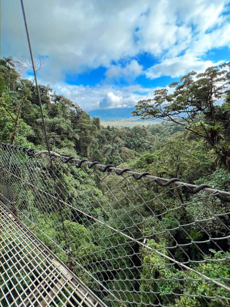 Guided Hanging Bridges Tour | Adventurous Things To Do in Costa Rica