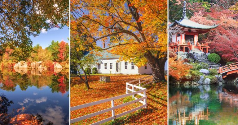 15 Best Travel Destinations in the Fall