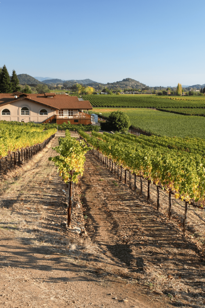 Napa Valley fall trip Napa Valley fall trip