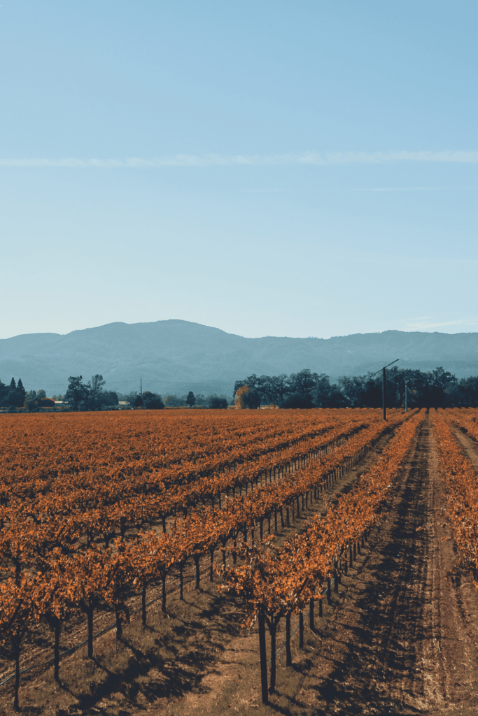 Napa Valley, California, Best Fall Destinations