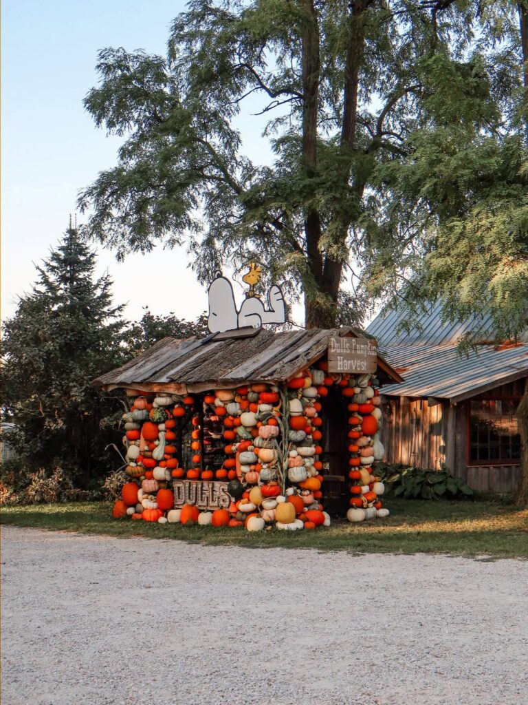 pumpkin patch in indy