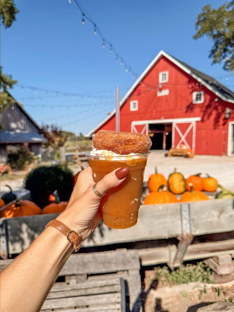 pumpkin patch fall Indy