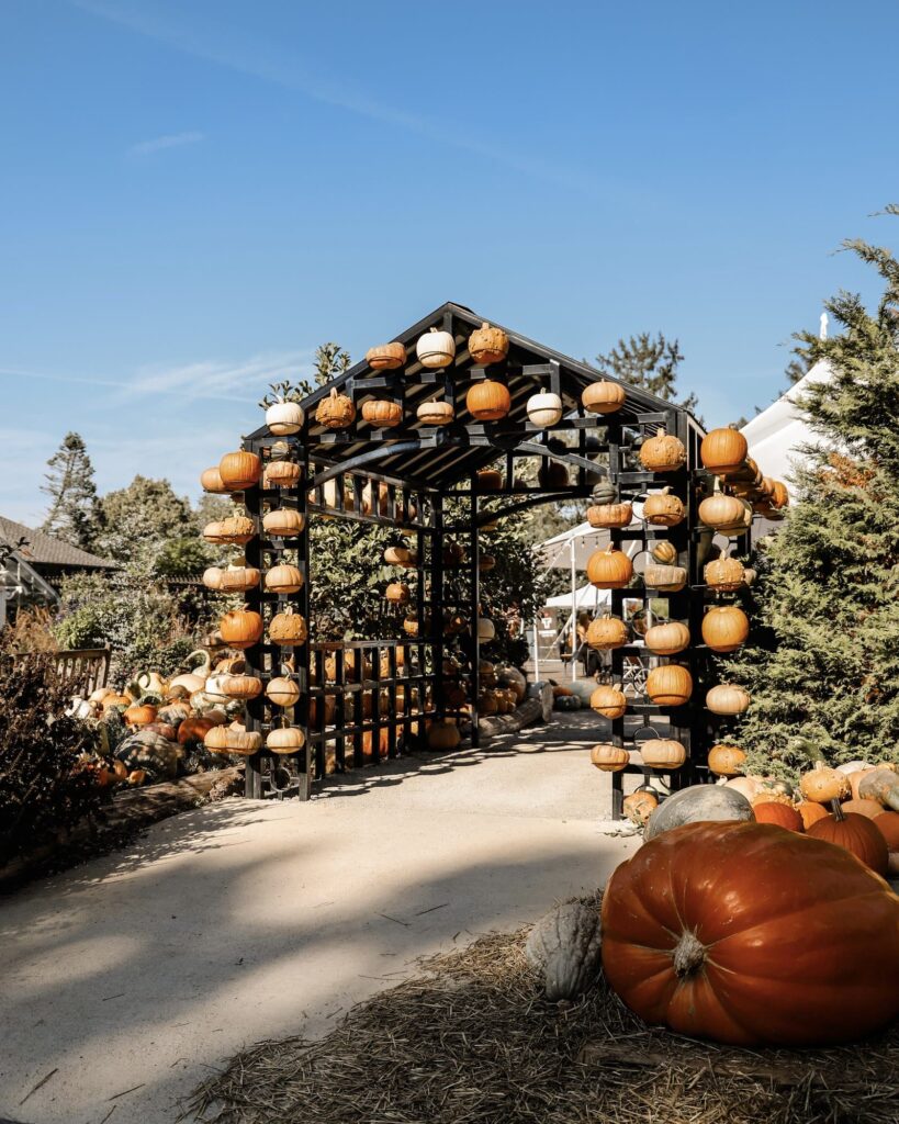 Newfields Fall Spots to Visit Around Indy