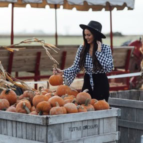 pumpkin patch fall Indy