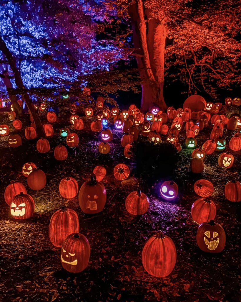 Newfields pumpkins at night