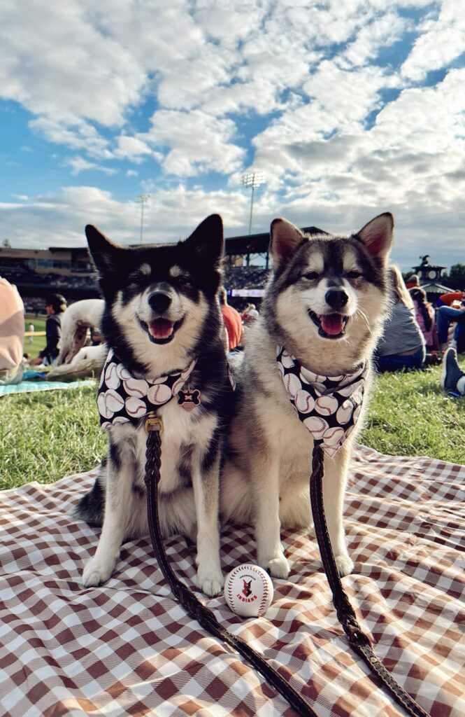 Bark In The Park victory field