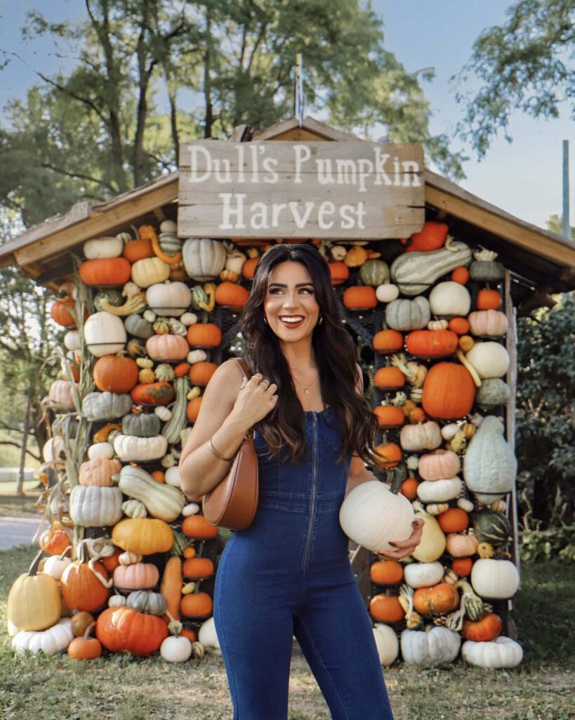 Dull's Tree Farm pumpkin harvest