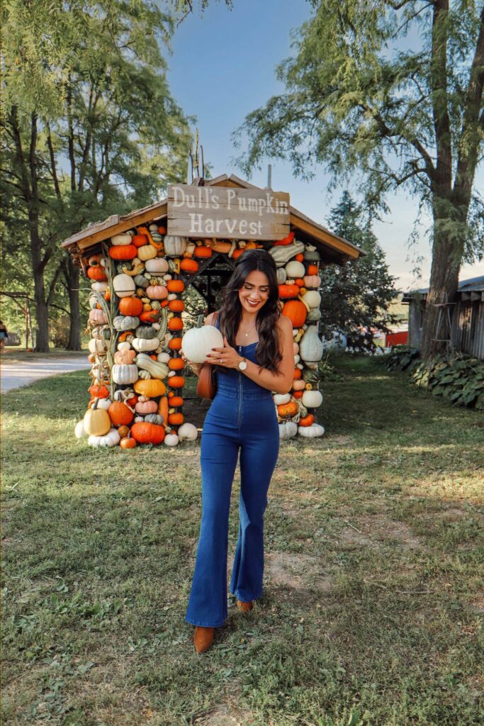 Sierra pumpkin patch trip