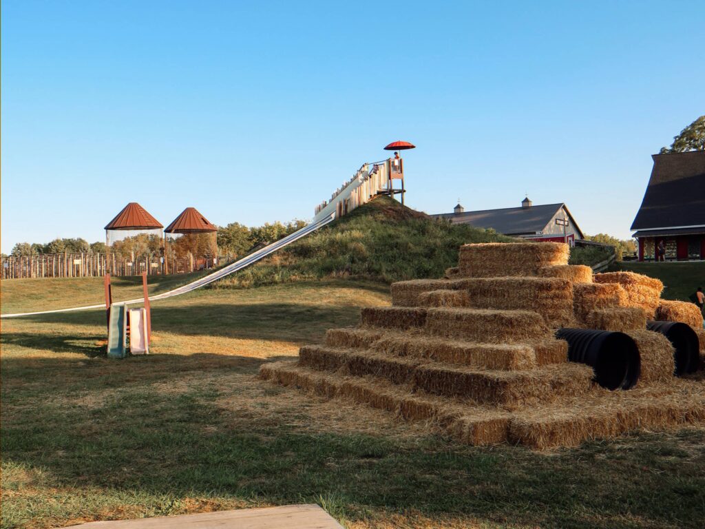 inside pumpkin patch activities