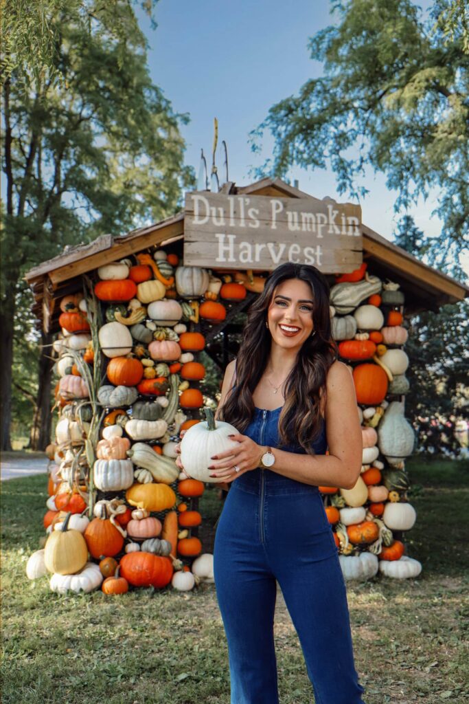 Fall Pumpkin Harvest at Dull's Tree Farm