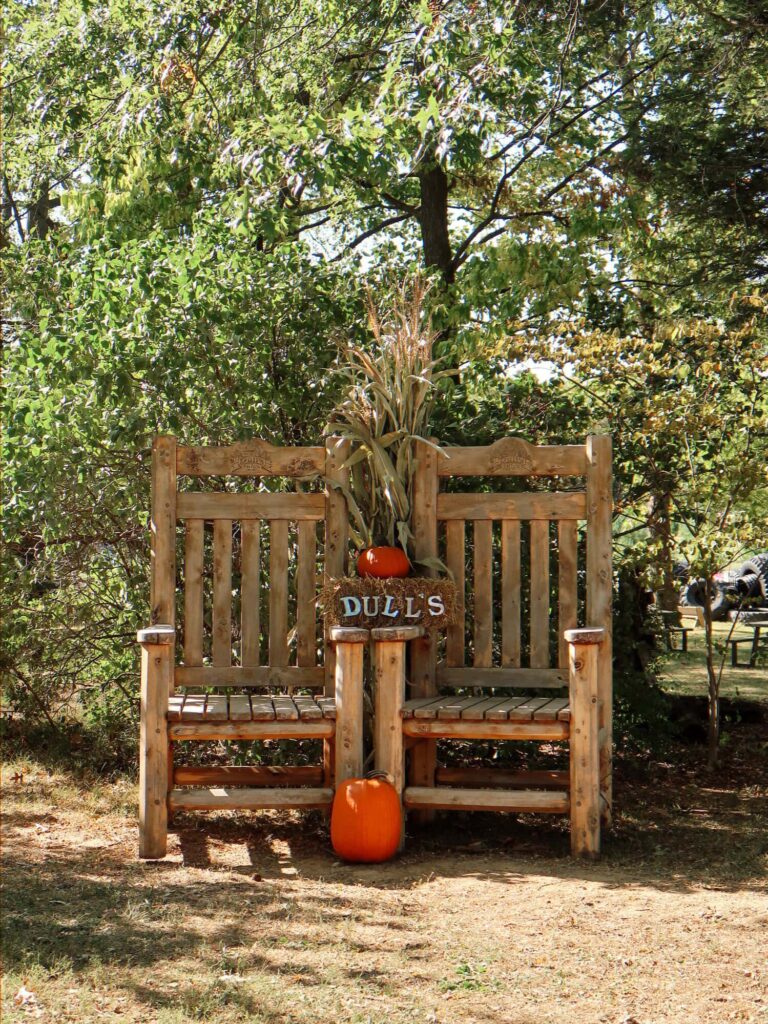 pumpkin patch fall activity