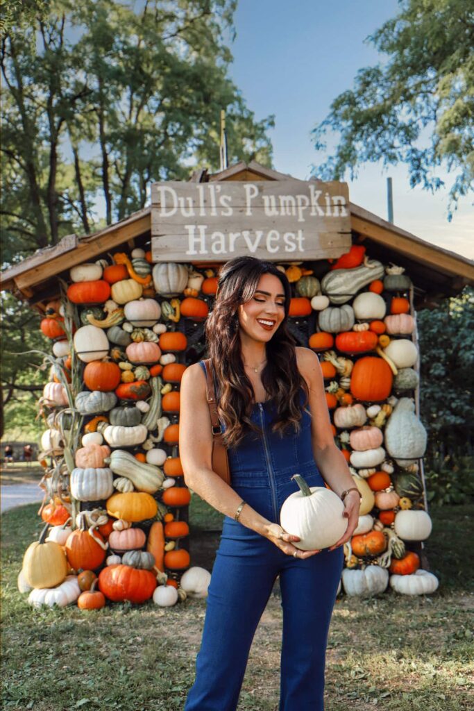 Dull's Tree Farm white pumpkin