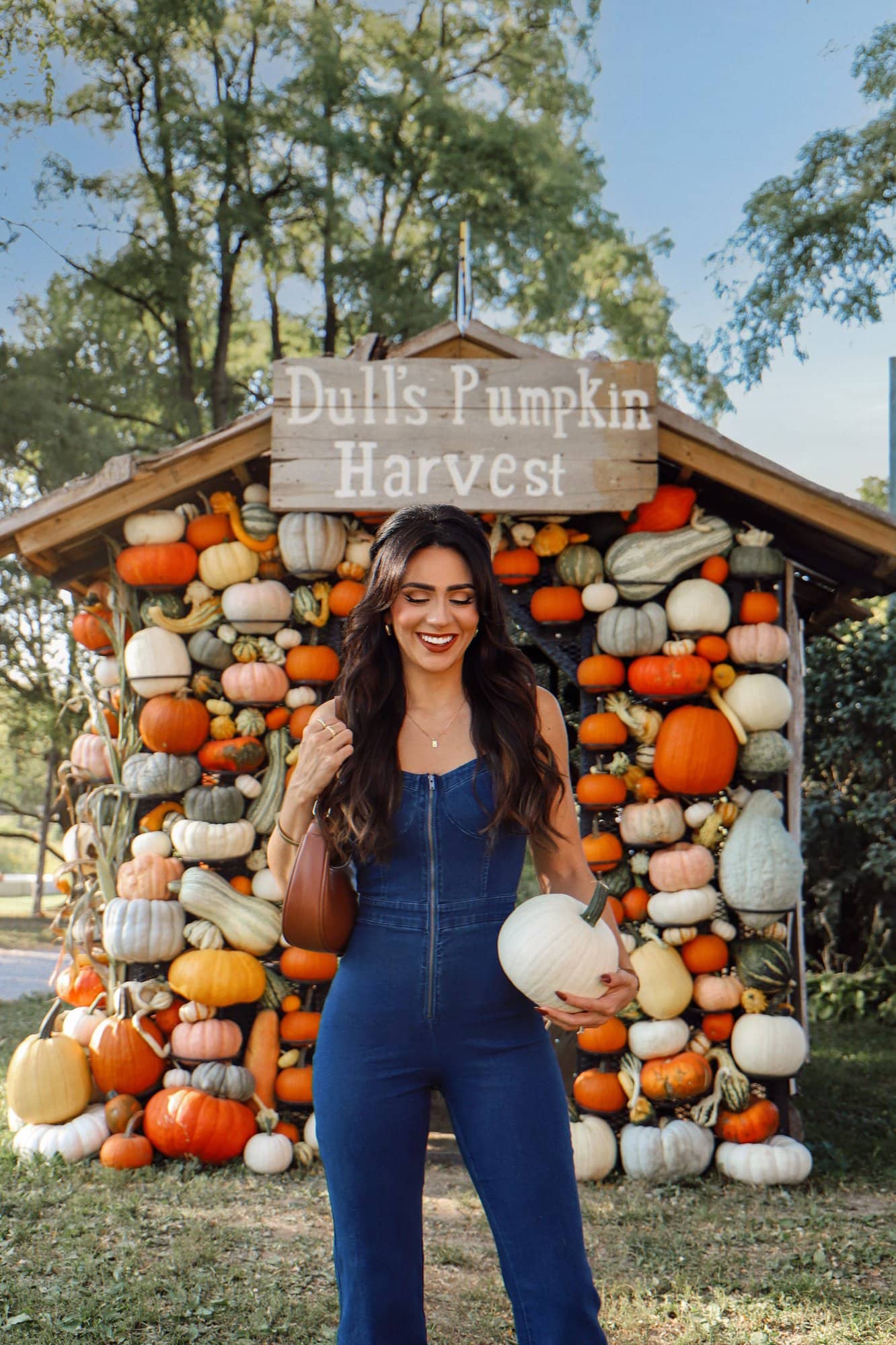 pumpkin patch fall season