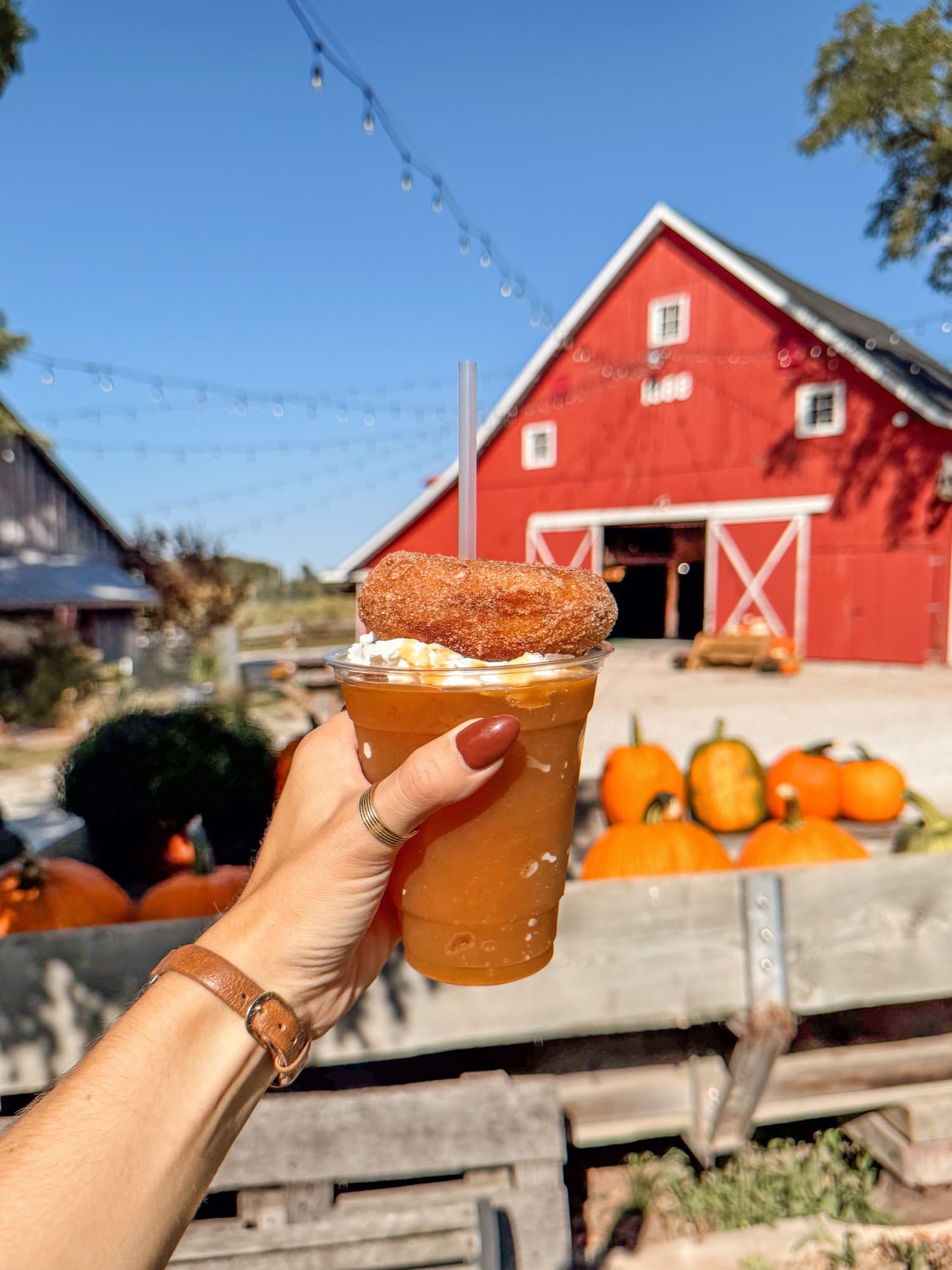 apple cider slushie and donut