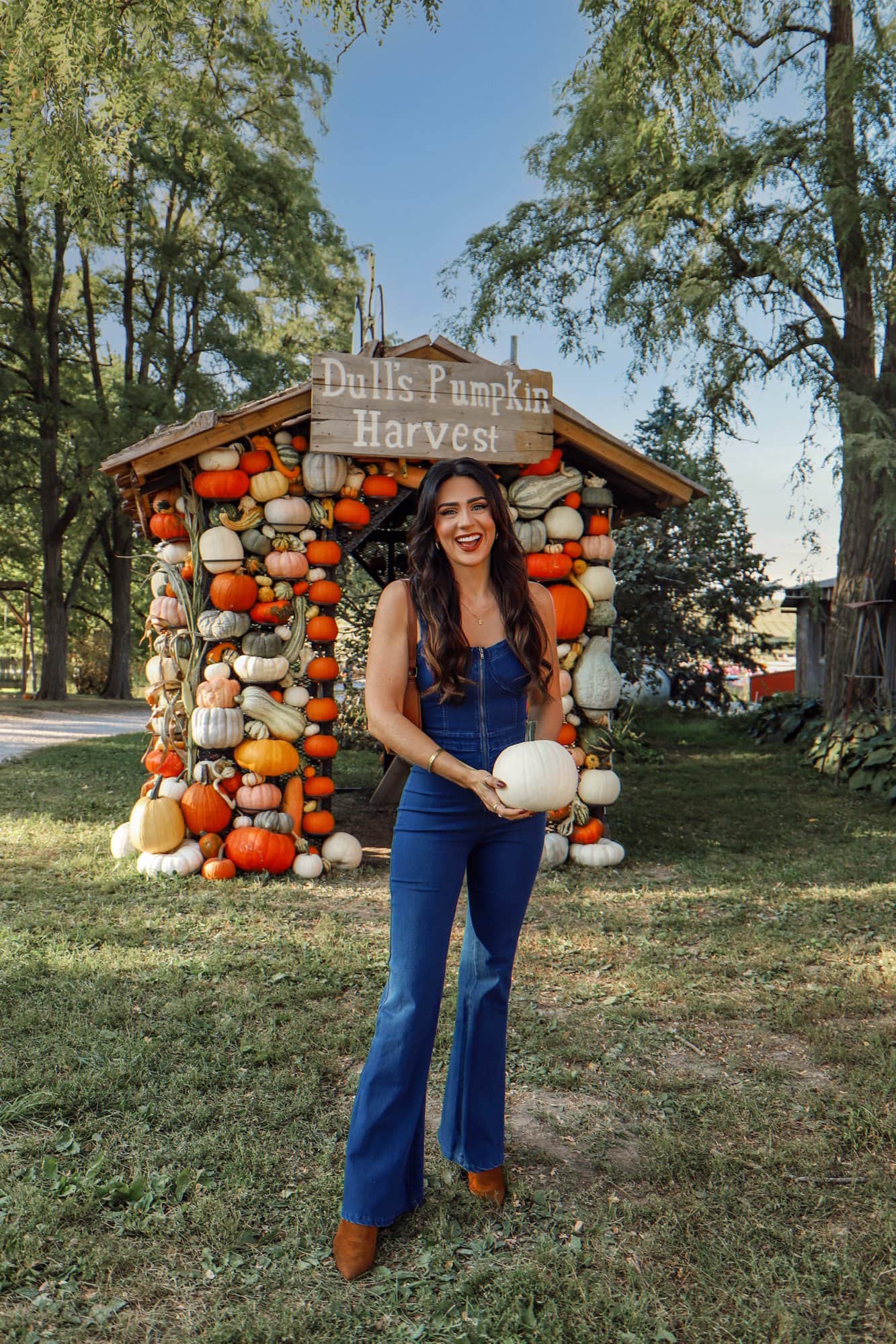 pumpkin patch fall ideas