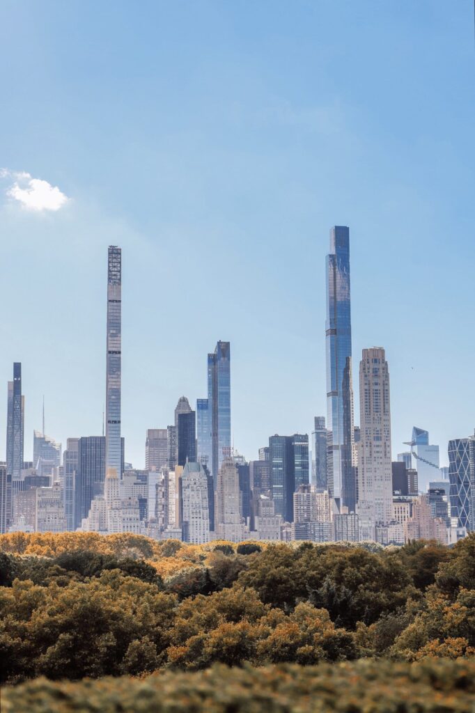 NYC skyline by Central Park