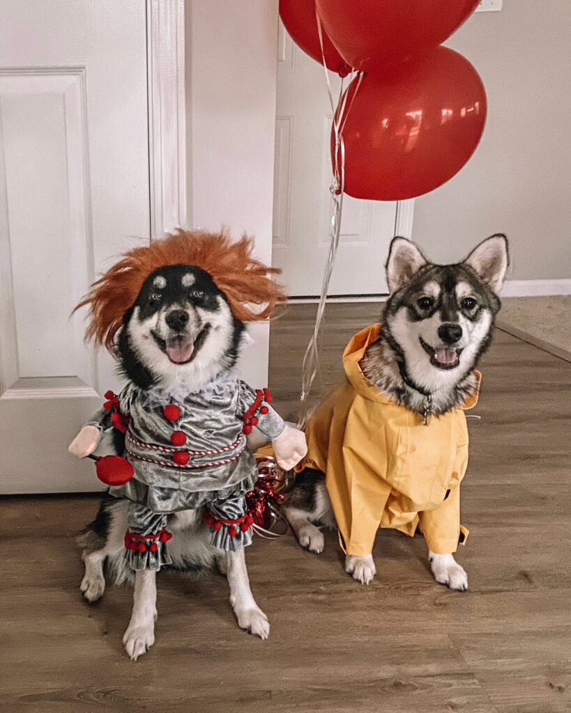 Dog Cute Costumes