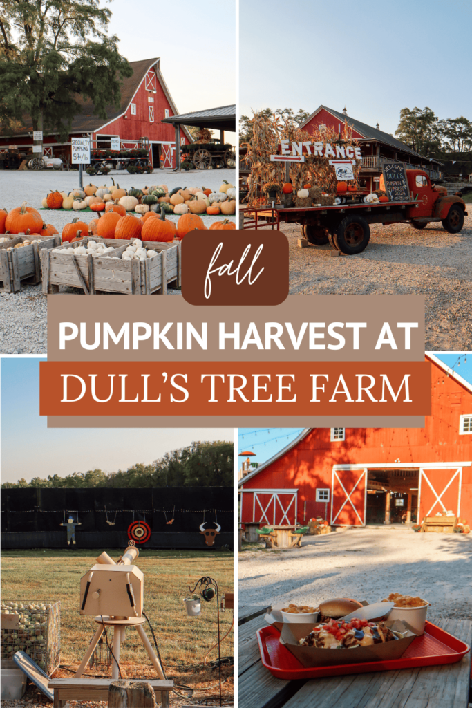 Fall Pumpkin Harvest at Dull's Tree Farm