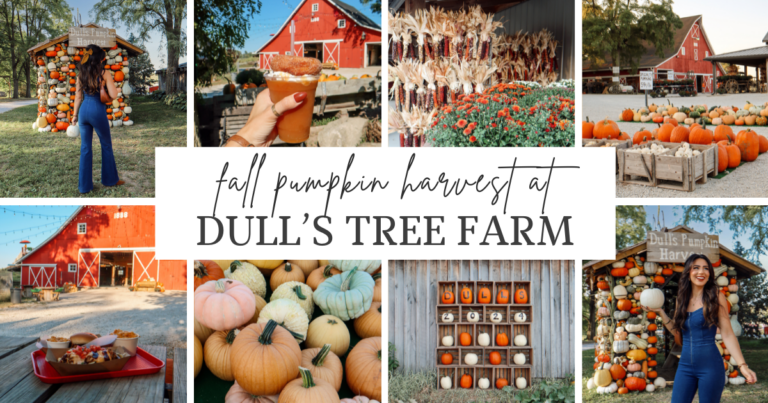 Fall Pumpkin Harvest at Dull's Tree Farm