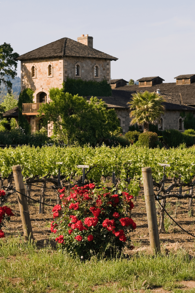 Napa Valley California Best Honeymoon Spots in the US