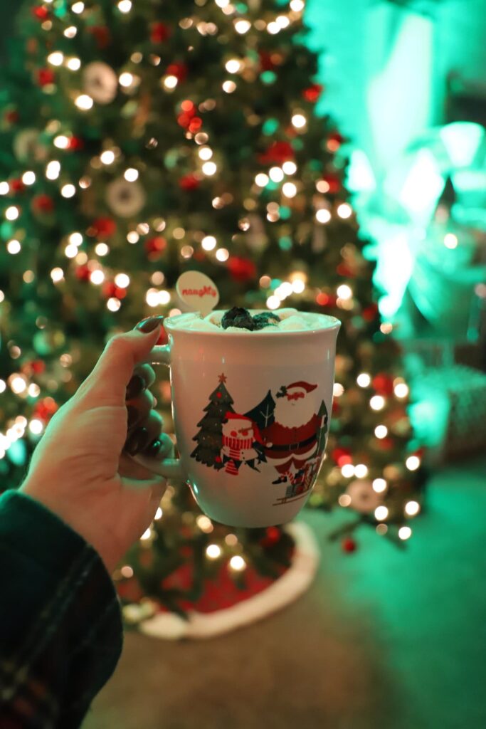 holiday hot cocoa drink