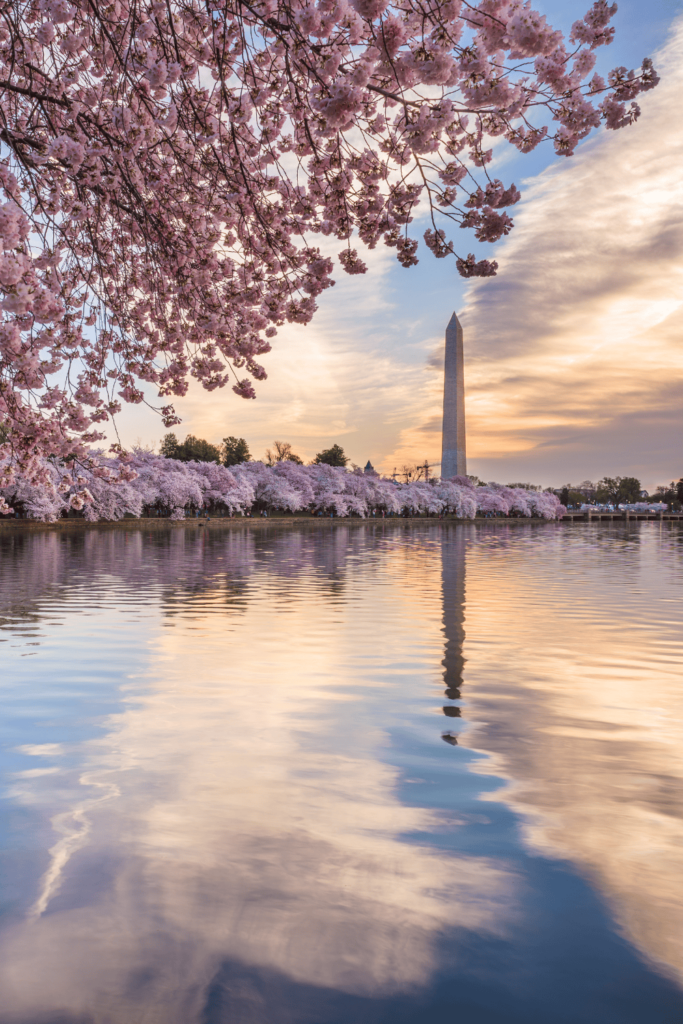 Washington D.C. in spring