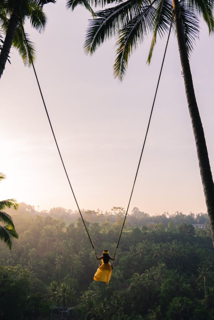 Bali Indonesia swing