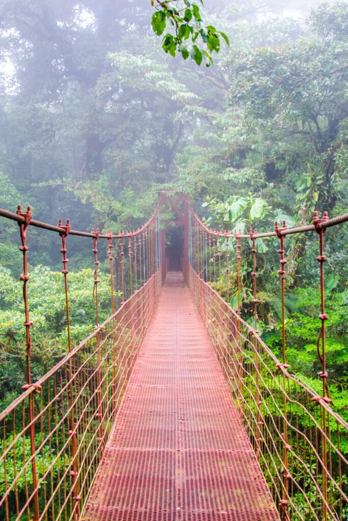 Tamarindo hanging bridge