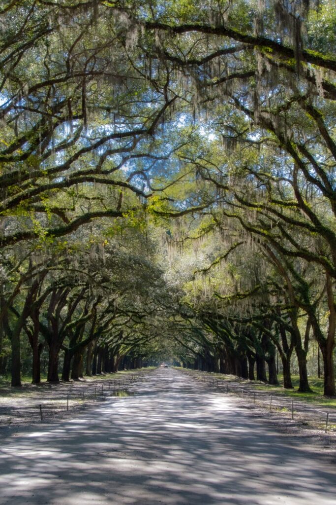 Savannah, Georgia Best Places for Spring Break