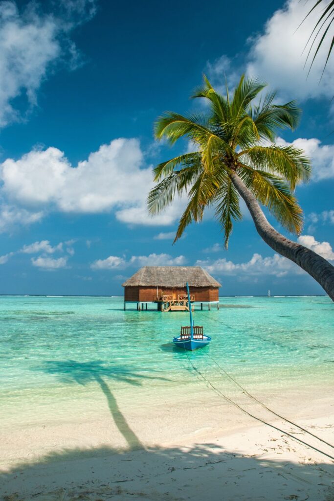 The Maldives vacation