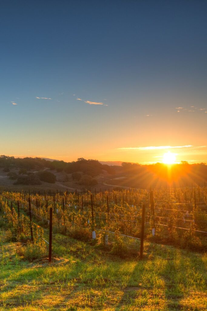 Napa Valley, Dream Vacation Destinations