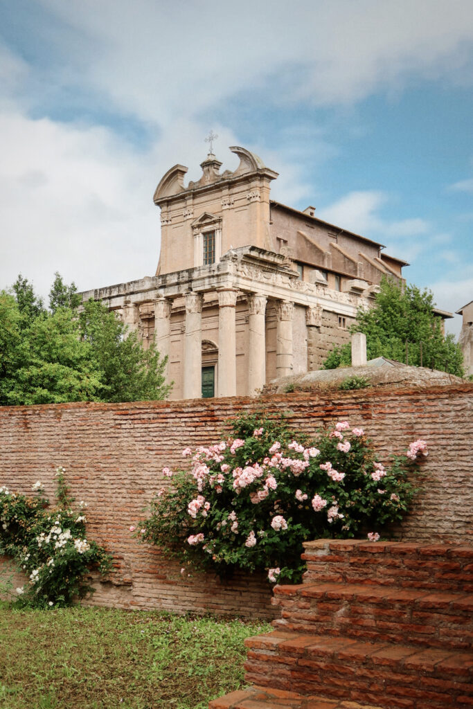 the Roman Forum in Rome the Roman Forum in Rome