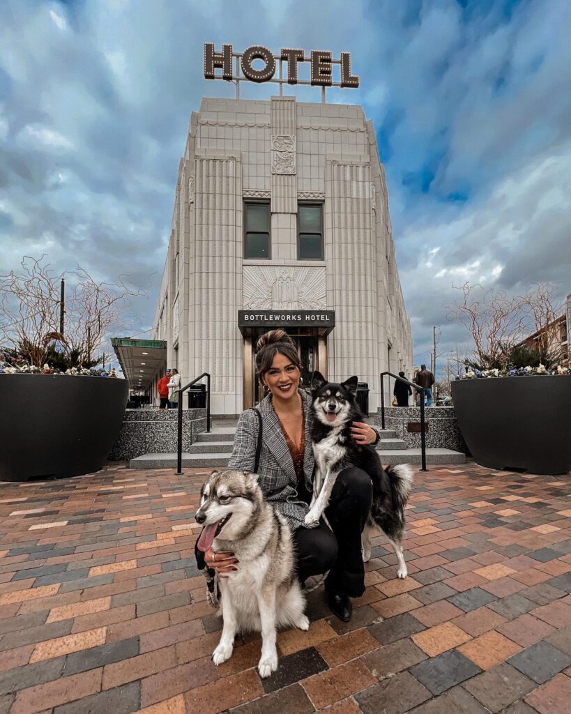 Hotel Booking with pets Hotel Booking with pets