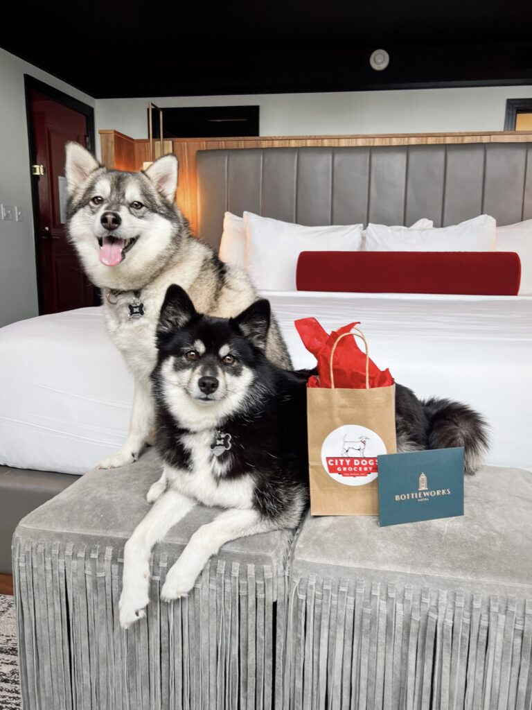 Hotel Booking with dogs Hotel Booking for Special Occasions