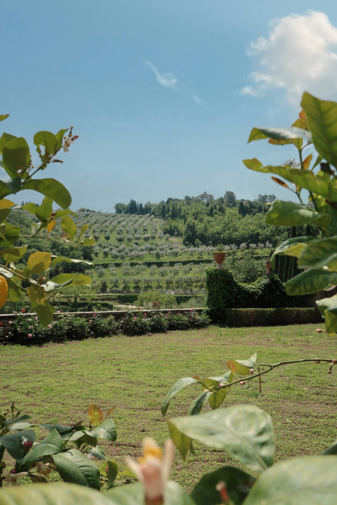 Tuscany Wine Tasting Tuscany Wine Tasting