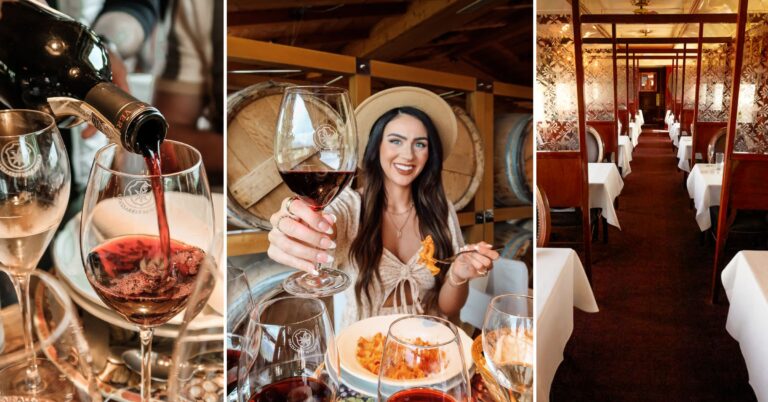Food and Wine Tour for Solo Travelers: The Tastiest Way to Travel