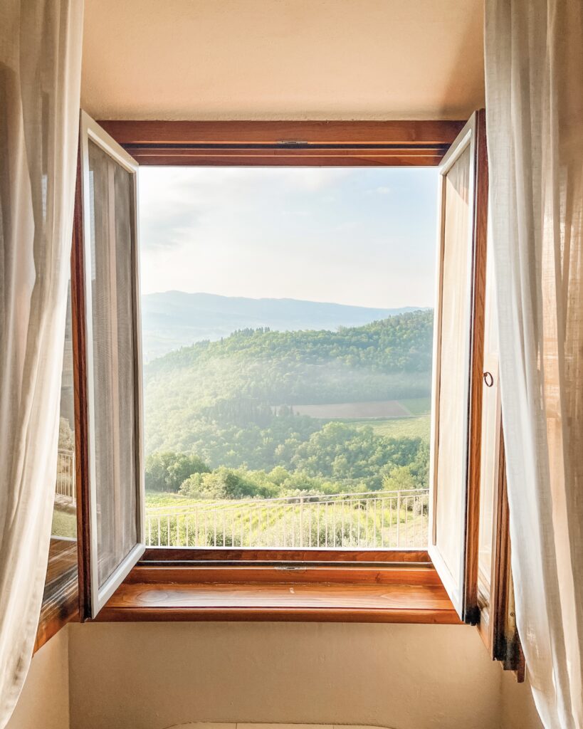 window with vineyard view