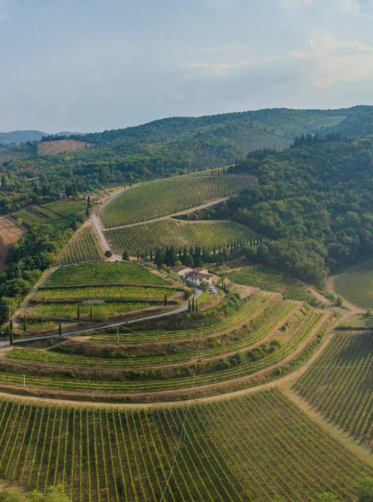 Foresteria Castello di Verrazzano vineyards
