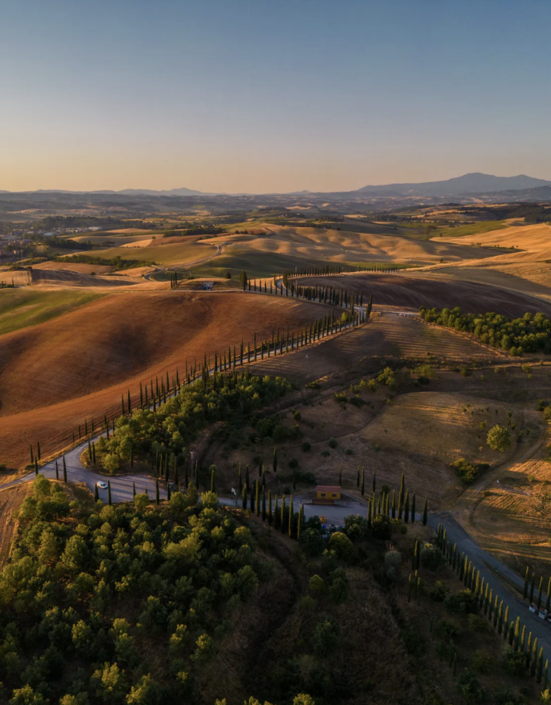 Hotel More di Cuna vineyards