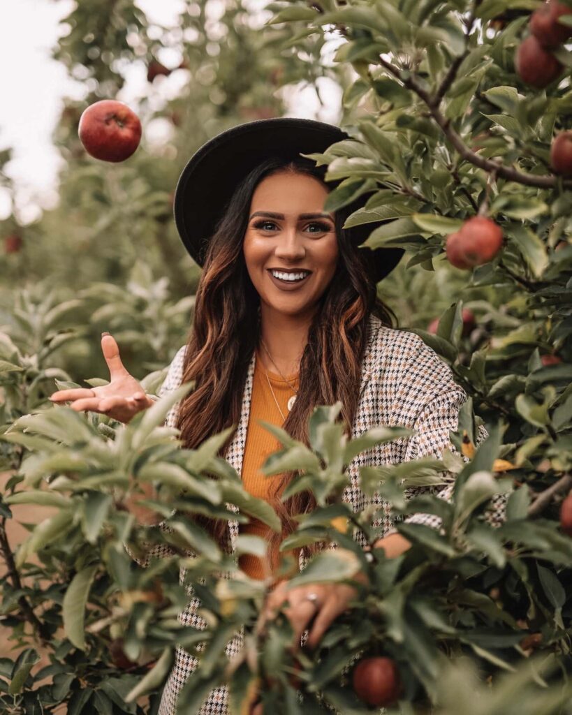 Apple picking in the fall