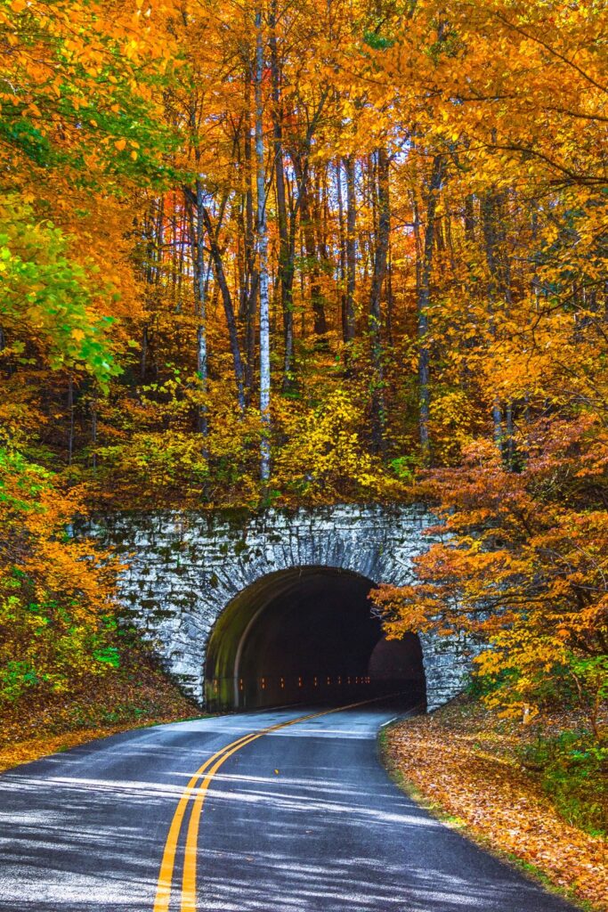 Blue Ridge Parkway in fall Blue Ridge Parkway in fall