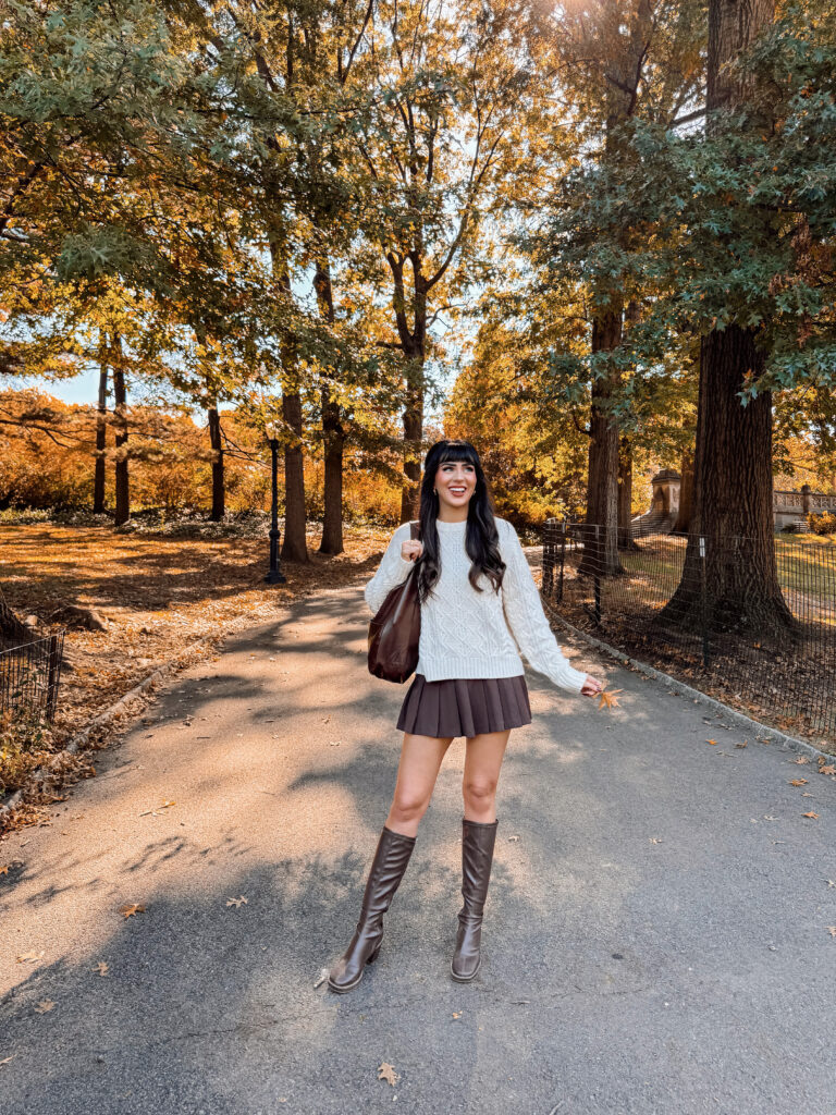 Fall in Central Park Fall in Central Park