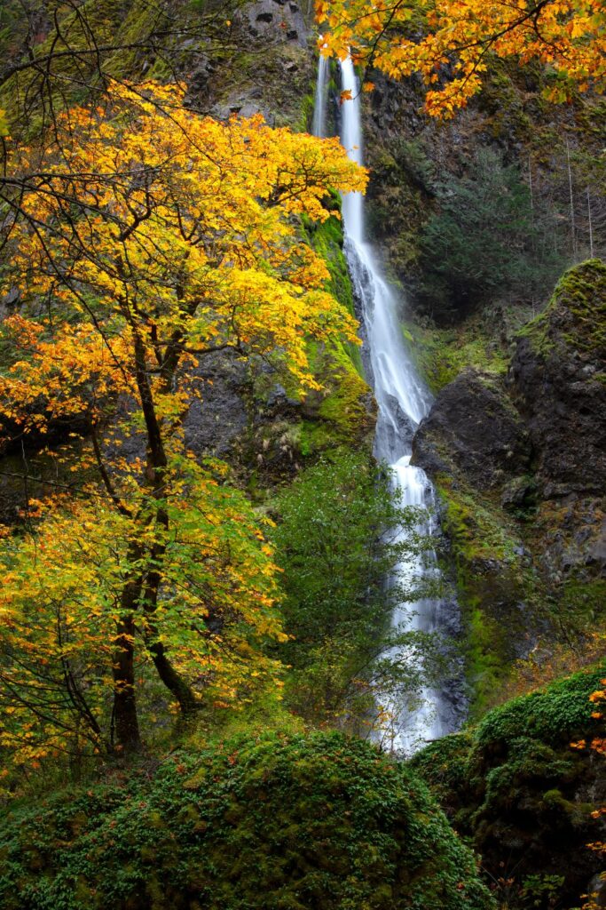 Columbia River Gorge in fall Columbia River Gorge in fall