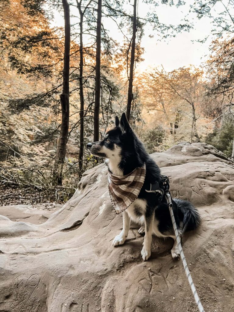 Hiking in Hocking Hills