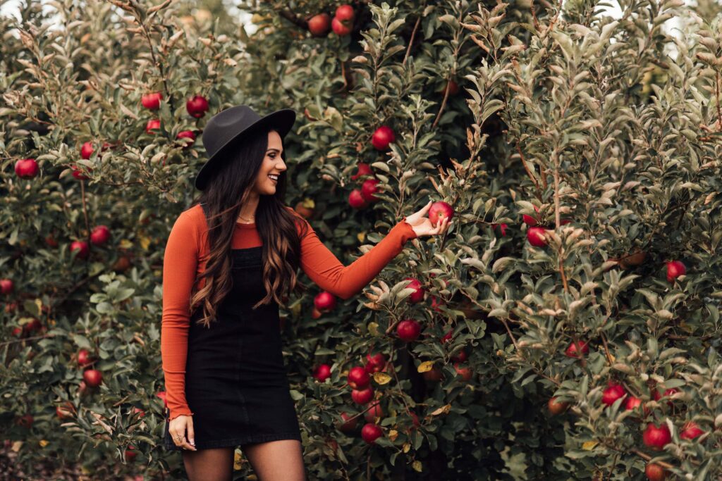 Apple picking in the fall