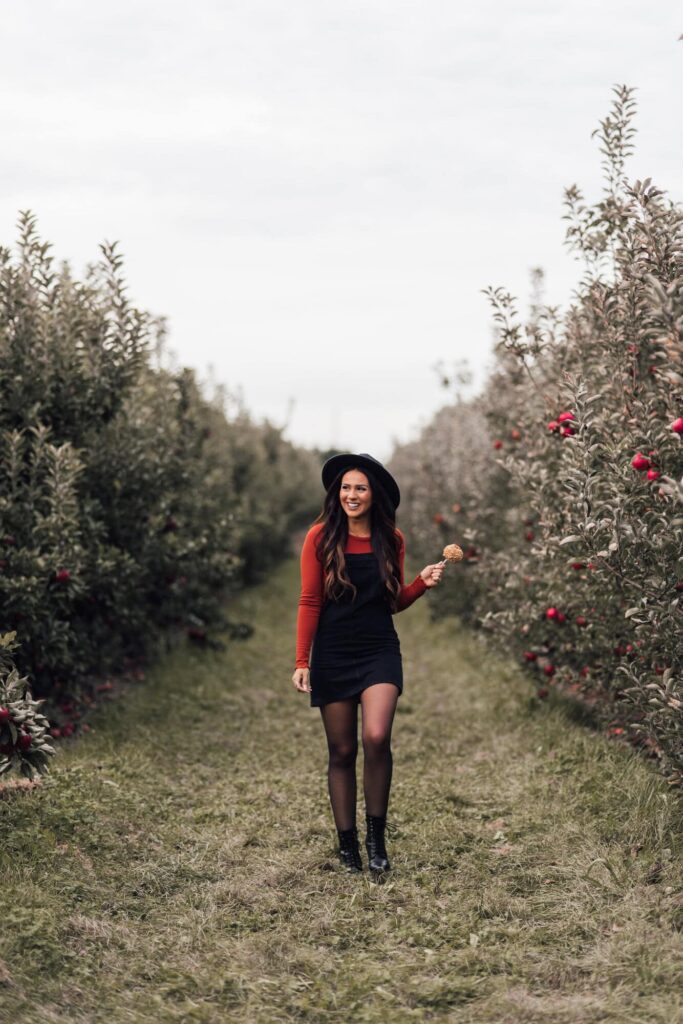 Apple picking in the fall
