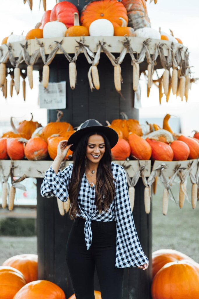 Pumpkin patch in the fall