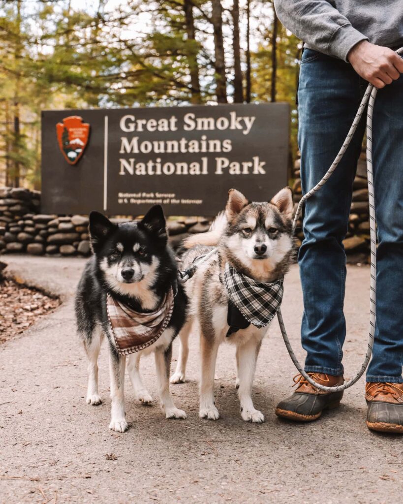 Hiking at The Great Smoky Mountains